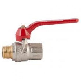 FIV_evolution_VN_ruchka