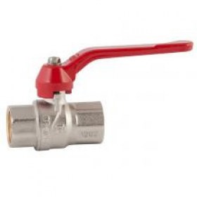 FIV_evolution_VV_ruchka